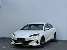 比亚迪 海豹06新能源 2024款 DM-i 80KM尊贵型