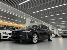 特斯拉 2017款 Model X 100D 长续航版