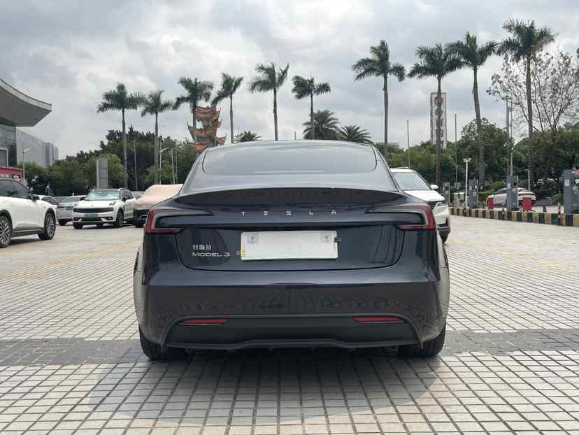 特斯拉 Model 3 2025款 后轮驱动版(4)