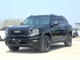 哈弗大狗 PLUS 2023款 2.0T 四驱潮野Plus