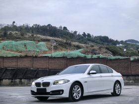 宝马5系(进口) 2015款 520i 典雅型