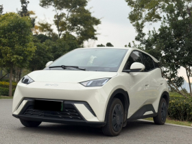 比亚迪 海鸥 2025款 305km 活力版