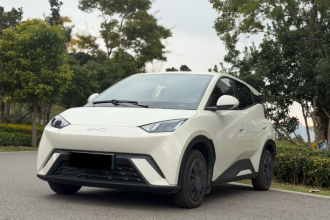 比亚迪 海鸥 2025款 305km 活力版