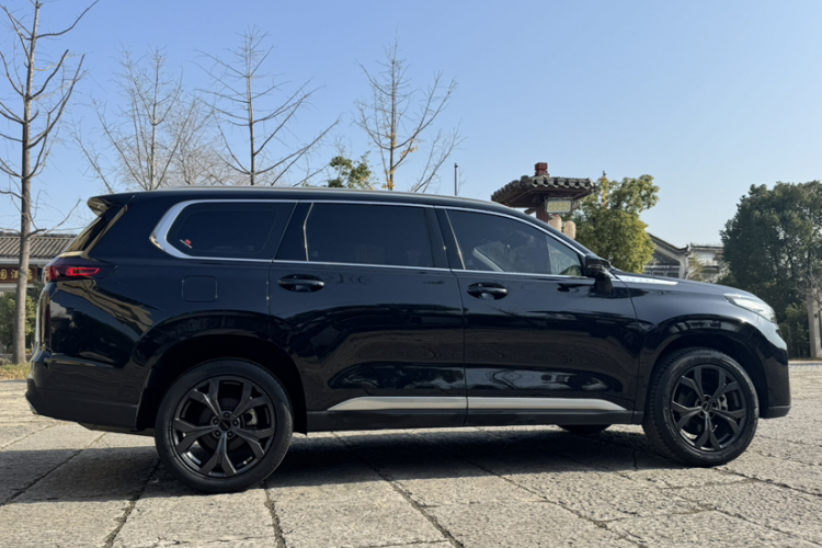 星途揽月 2021款 390T 两驱星耀长续航版车身外观6010