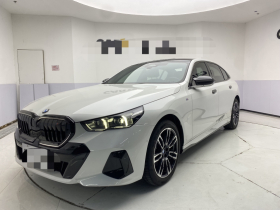 宝马5系 2025款 530Li 领先型 M运动套装