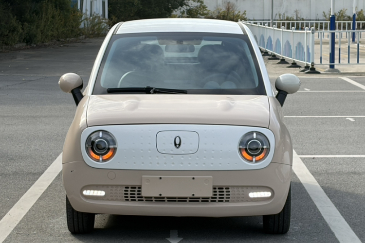 欧拉黑猫 2022款 351km 标准型 三元锂车身外观6002