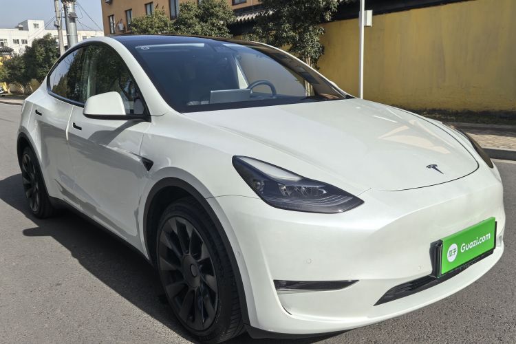 特斯拉 Model Y 2021款 长续航全轮驱动版车身外观6006