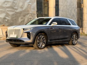 红旗E-HS9 2021款 510km 旗领版 四座