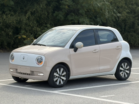 欧拉黑猫 2022款 351km 标准型 三元锂