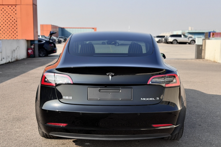 特斯拉 Model 3 2019款 标准续航后驱升级版车身外观6001
