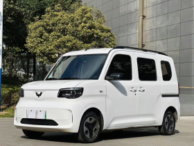 五菱汽车 五菱之光新能源 2025款 201km 舒适型