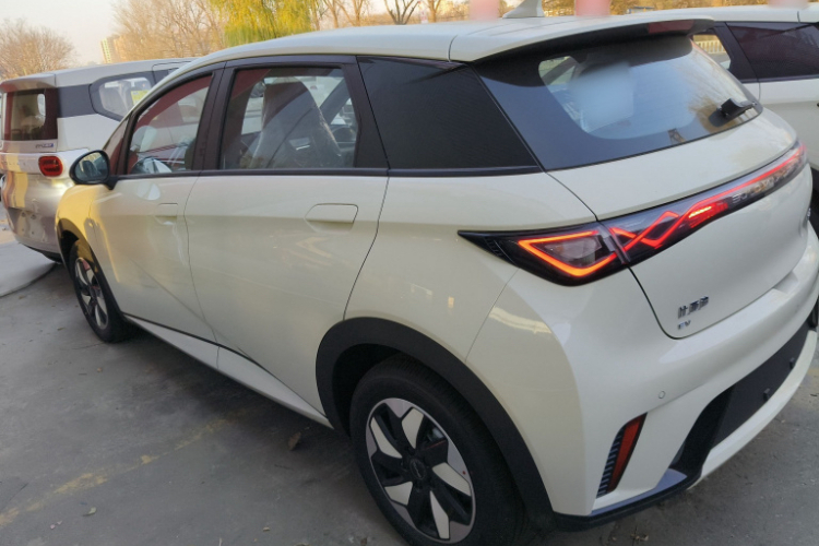 比亚迪 海豚 2025款 420km 自由版车身外观6005