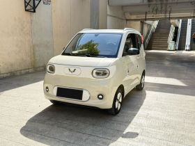 五菱汽车 宏光MINIEV 2024款 第三代 215km 进阶版