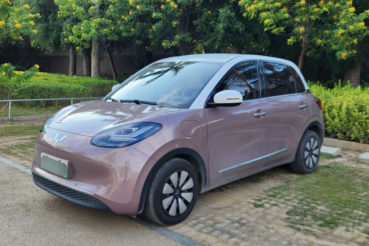 五菱汽车 五菱缤果 2023款 333km 悦享+款车身外观6003