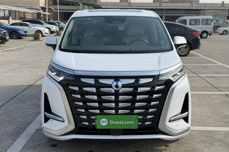 腾势D9 2022款 DM-i 970 四驱尊荣型车身外观6007