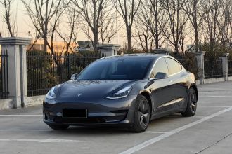 特斯拉 Model 3 2020款 标准续航后驱升级版