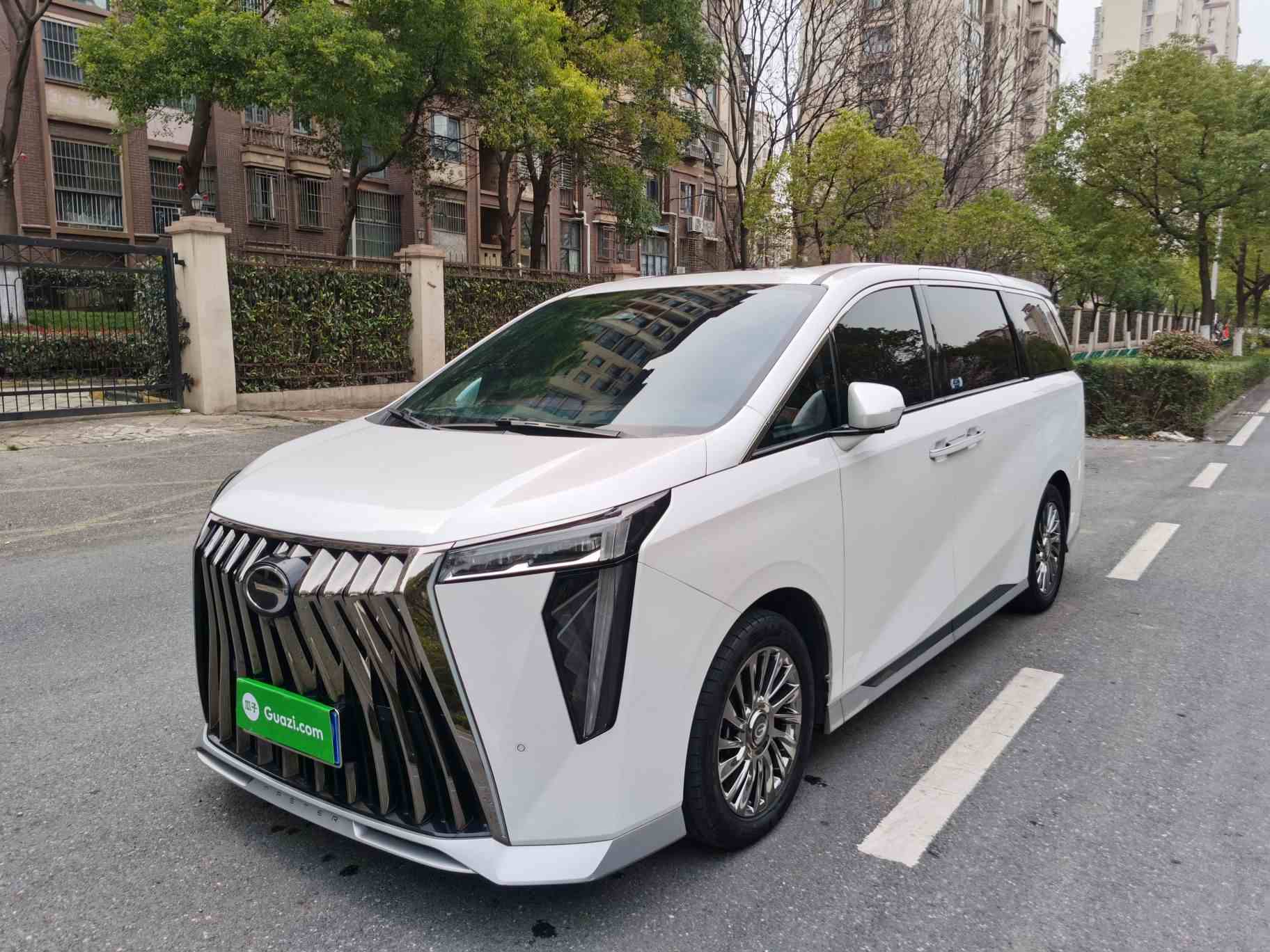 广汽传祺 传祺M8 2023款 宗师系列 400T 至尊版(1)