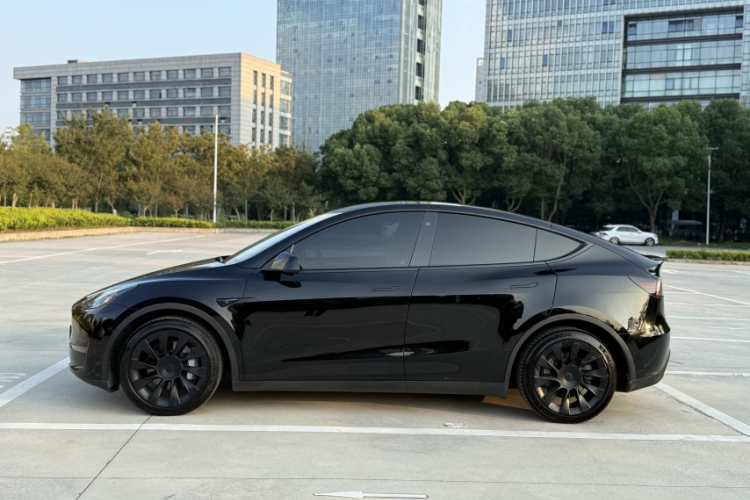 特斯拉 Model Y 2021款 标准续航后驱版车身外观6005