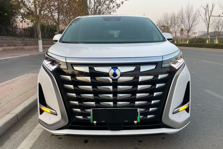 腾势D9 2024款 DM-i 980 四驱尊荣型车身外观6002