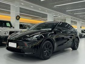 特斯拉 Model Y 2023款 后轮驱动版