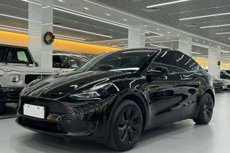特斯拉 Model Y 2023款 后轮驱动版