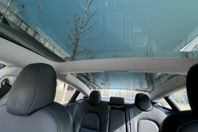 特斯拉 Model 3 2021款 改款 标准续航后驱升级版 3D1局部细节22