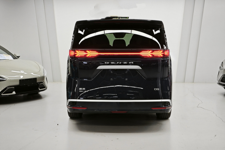 腾势D9 2022款 DM-i 970 四驱尊荣型车身外观6002