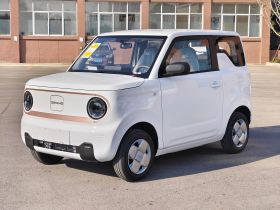 吉利银河 2024款 熊猫mini 200km 耐力熊