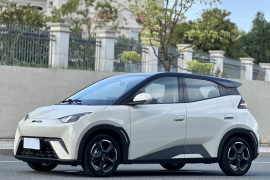 比亚迪 海鸥 2023款 自由版