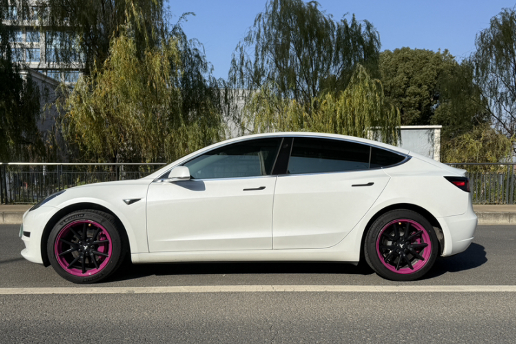 特斯拉 Model 3 2019款 标准续航后驱升级版车身外观6009