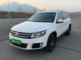 大众 途观 2013款 2.0TSI 自动四驱豪华版