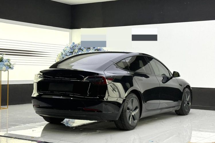 特斯拉 Model 3 2020款 标准续航后驱升级版车身外观6003