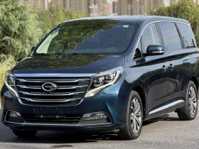 广汽传祺 传祺M8 2020款 390T 尊贵版