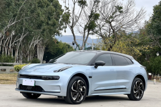 极氪001 2021款 超长续航双电机 YOU版