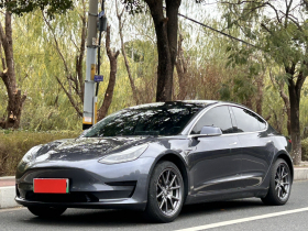 特斯拉 Model 3 2020款 标准续航后驱升级版