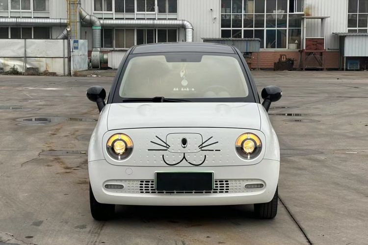 欧拉黑猫 2021款 351km 标准型车身外观6002