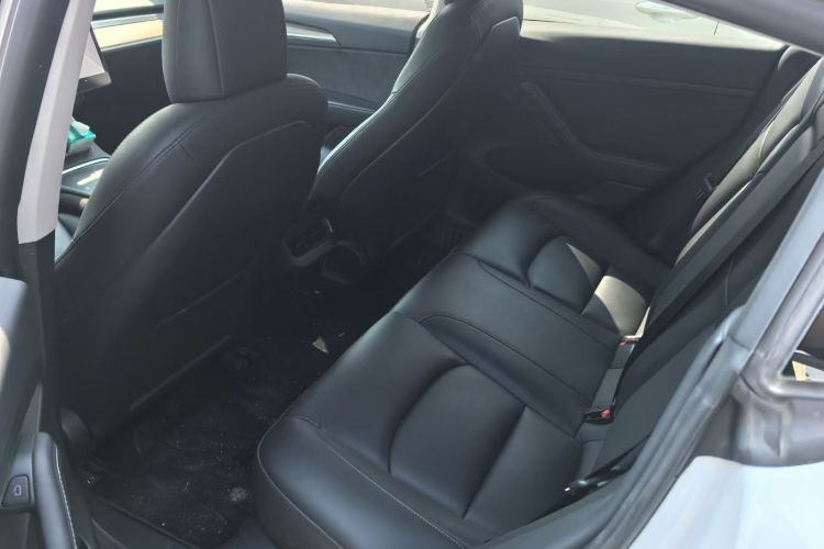 特斯拉 Model 3 2021款 标准续航后驱升级版车身外观6004