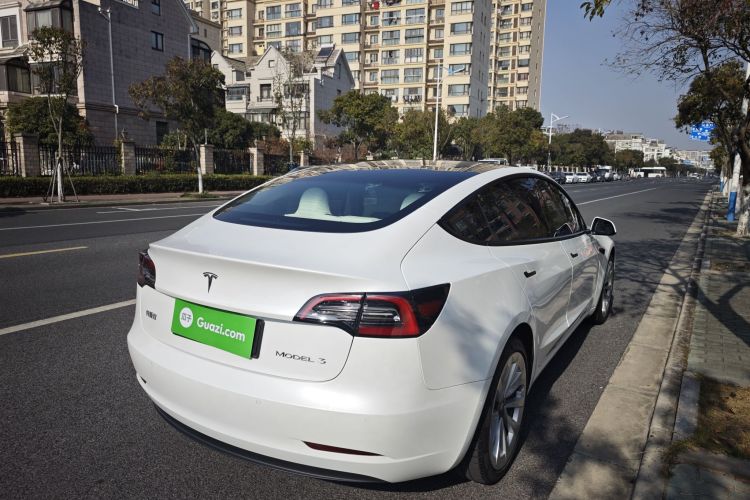 特斯拉 Model 3 2021款 改款 标准续航后驱升级版 3D1车身外观6004