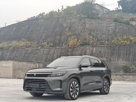 鸿蒙智行 问界M7 2022款 1.5T 四驱豪华版