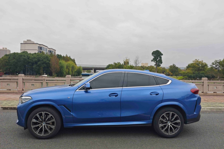 宝马X6 2020款 xDrive30i M运动套装车身外观6005