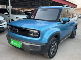 宝骏悦也Plus 2024款 智尊版 4座