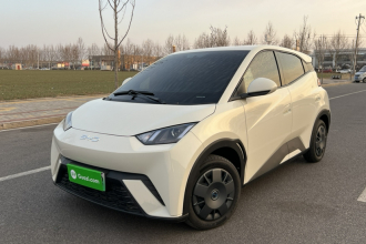 比亚迪 海鸥 2024款 荣耀版 305km 活力版