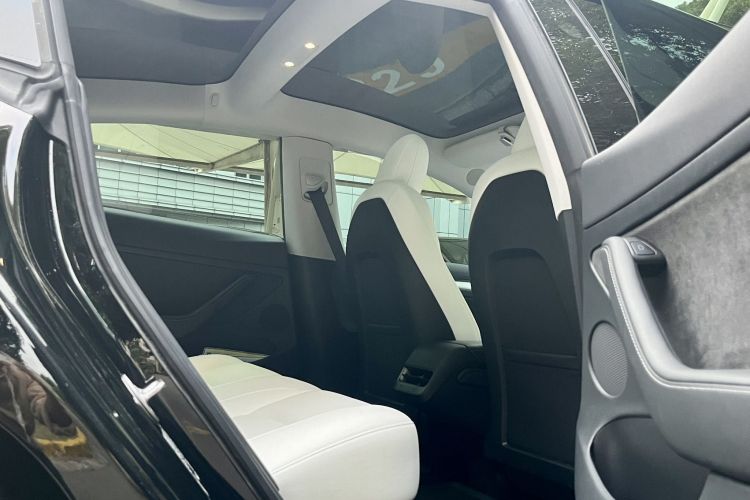 特斯拉 Model 3 2022款 后轮驱动版局部细节9007