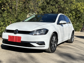 大众 高尔夫 2020款 挚爱版 280TSI DSG舒适型