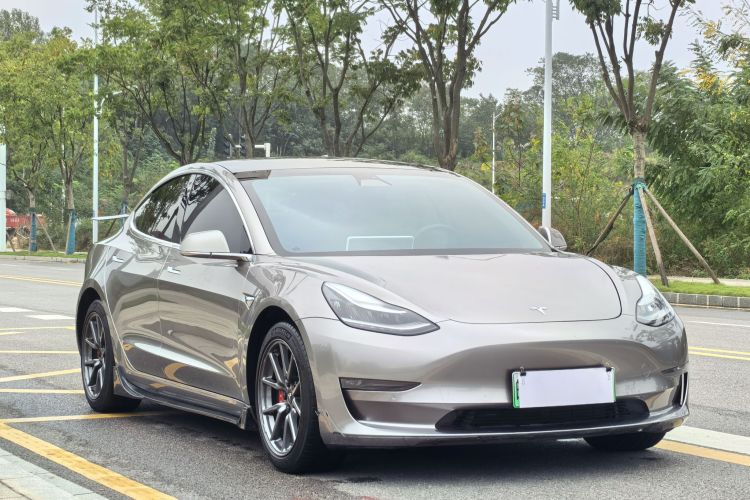 特斯拉 Model 3 2020款 改款 长续航后轮驱动版车身外观6008