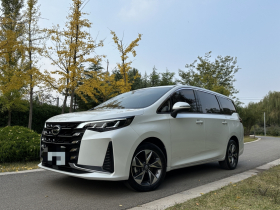 广汽传祺 传祺M6 2023款 PRO 270T DCT豪华版