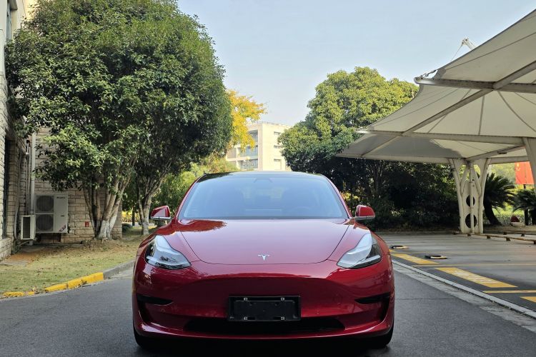 特斯拉 Model 3 2019款 标准续航后驱升级版车身外观6001