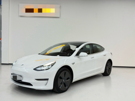 特斯拉 Model 3 2020款 改款 长续航后轮驱动版