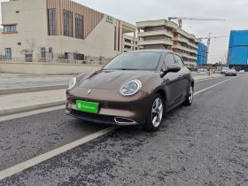 欧拉好猫 2021款 400km标准续航 维纳斯版 三元锂