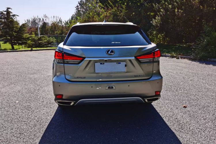 雷克萨斯RX 2020款 改款 300 两驱精英版车身外观6005